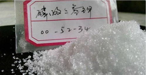 长寿花蟹爪兰年年装菜？今年浇透2种水，30天窜出圆润花苞！